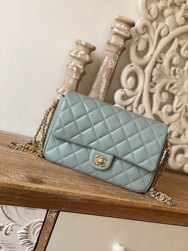 Chanel Handbags 232